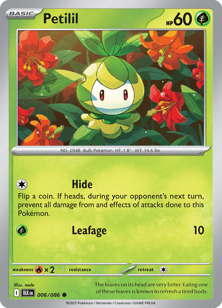 Charmander Pokemon card #006 from Black Bolt TCG set - high resolution trading card image