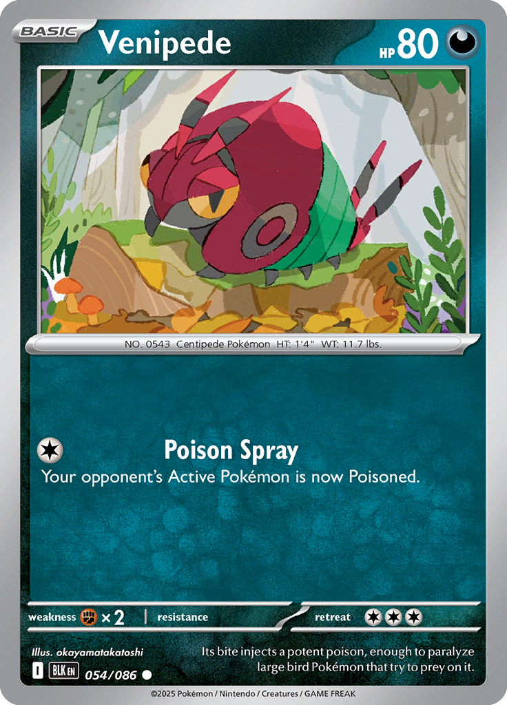 Pidgeotto Pokemon card #054 from Black Bolt TCG set - high resolution trading card image