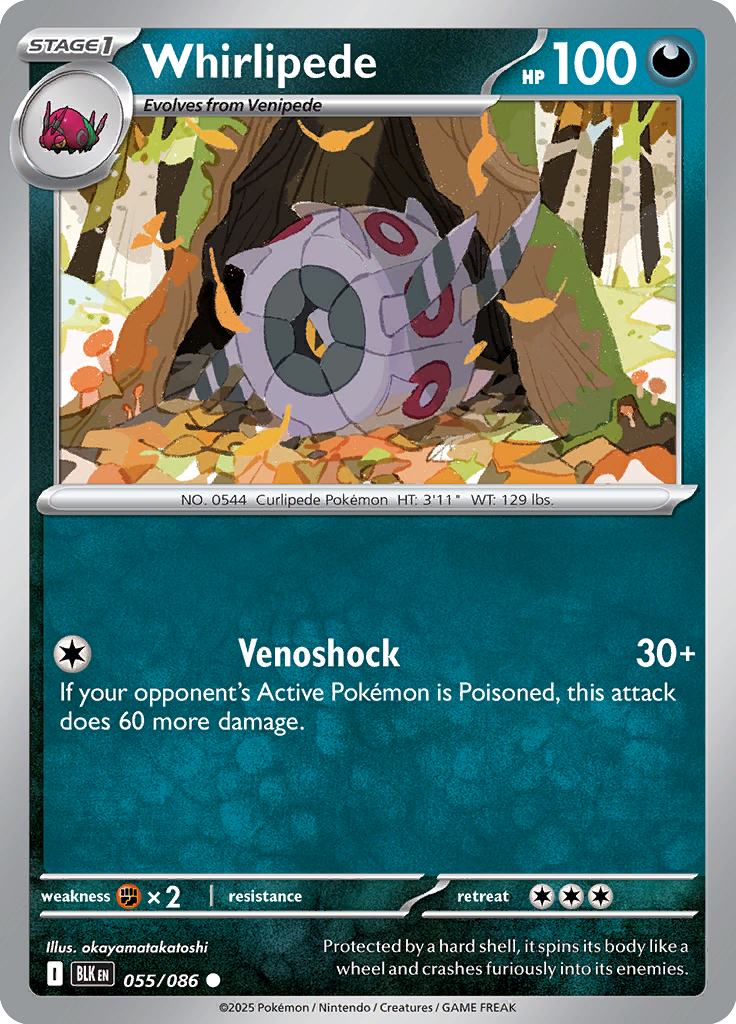 Pidgeot ex Pokemon card #055 from Black Bolt TCG set - high resolution trading card image