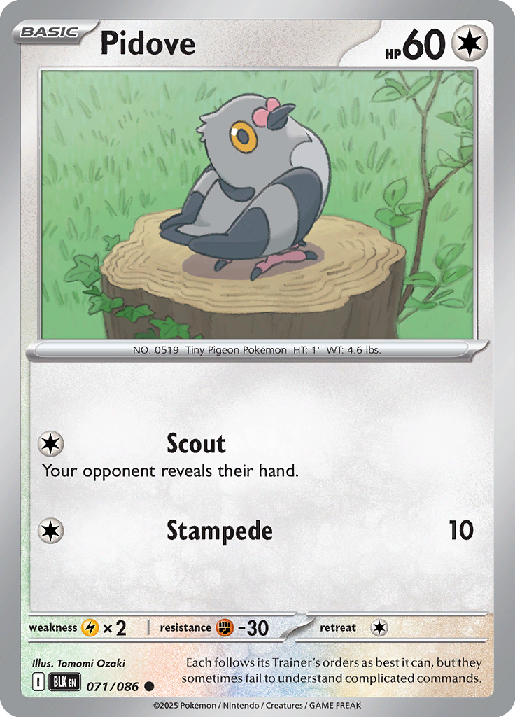 Potion Pokemon card #071 from Black Bolt TCG set - high resolution trading card image