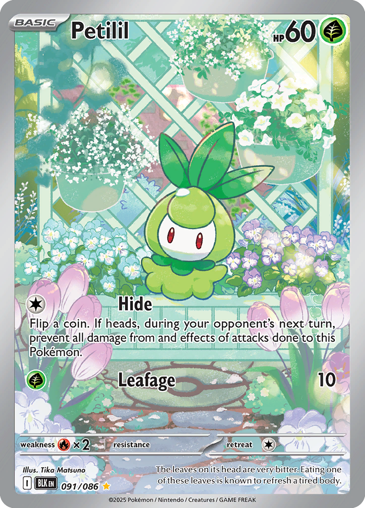 Petilil Pokemon card #091 from Black Bolt TCG set - high resolution trading card image