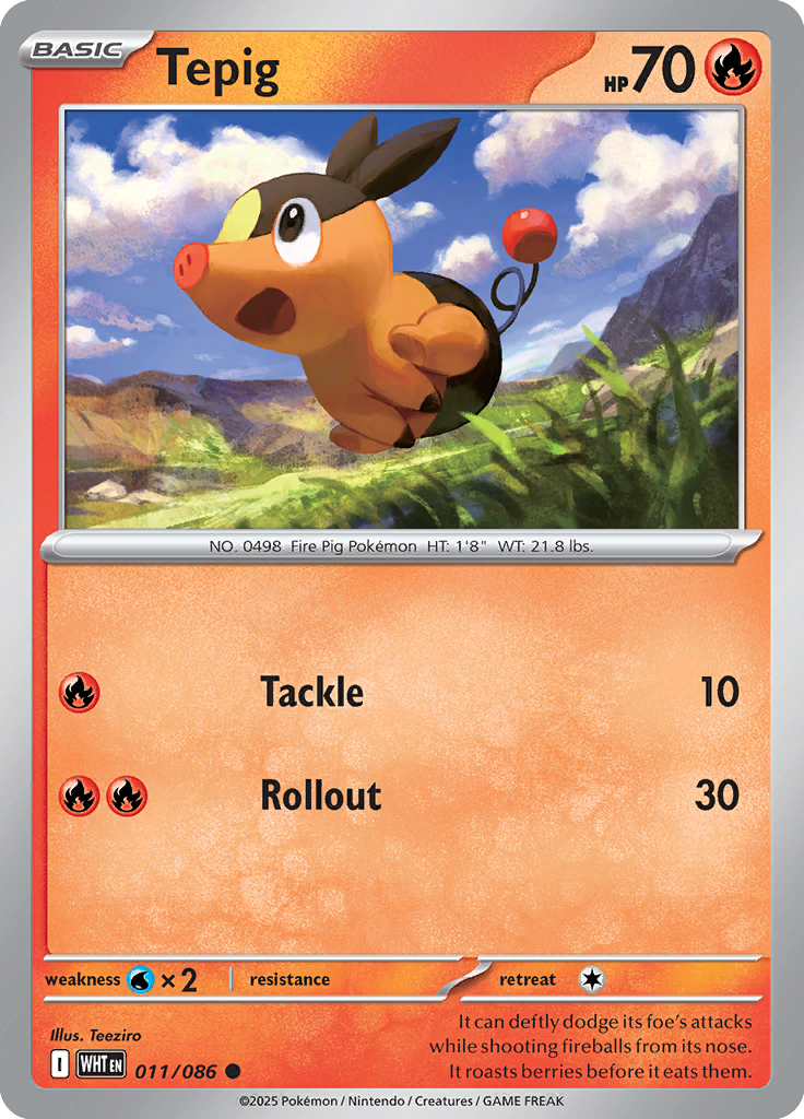 Tepig Pokemon card #011 from White Flare TCG set - high resolution trading card image