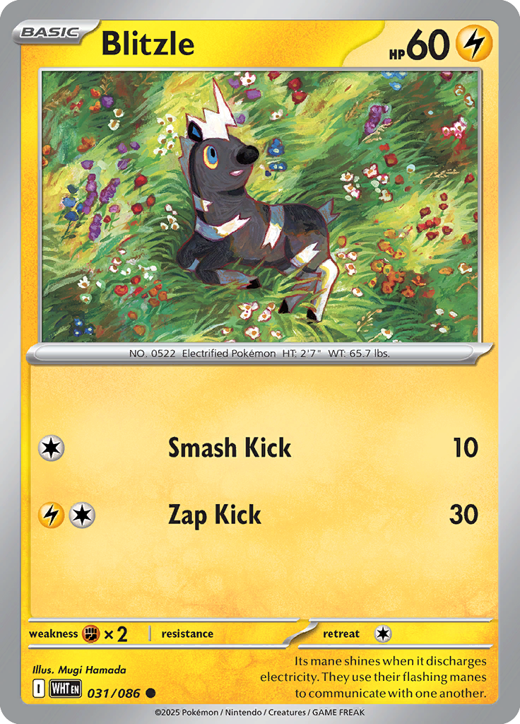 Galvantula Pokemon card #031 from White Flare TCG set - high resolution trading card image