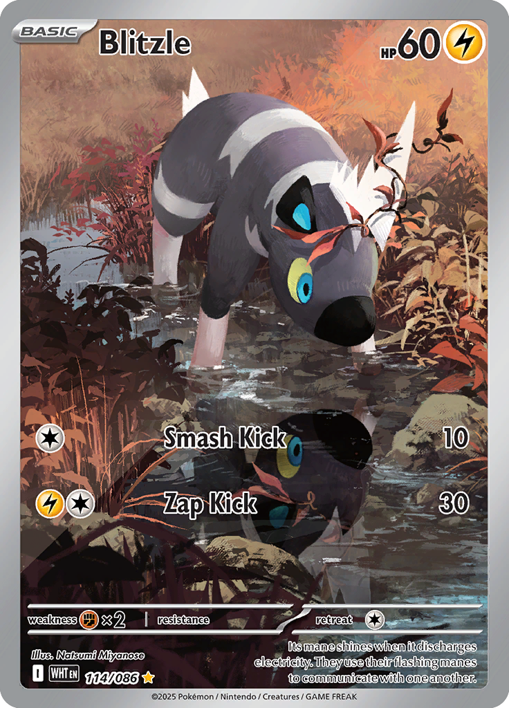 Galvantula Pokemon card #114 from White Flare TCG set - high resolution trading card image